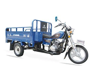 Mens Motorised 3 Wheel Bike